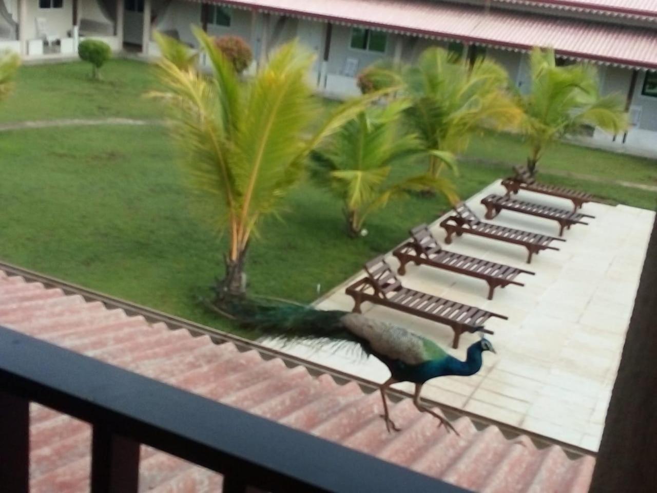 Nilakma Lagoon Negombo Exterior photo